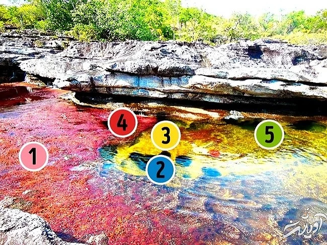 خارق العادهترین عجایب طبیعت + تصاویر خارق العادهترین عجایب طبیعت + تصاویر